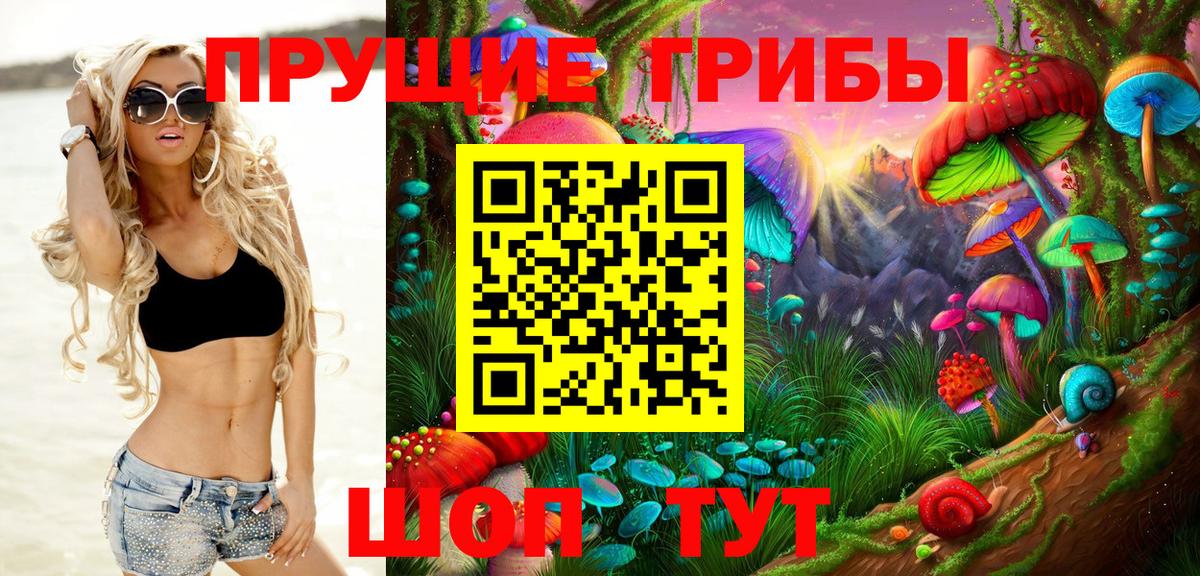 Галлюциногенные грибы прущие грибы  купить закладку  Алексин  Вход с VPN  Псилоцибиновые грибы Cubensis 