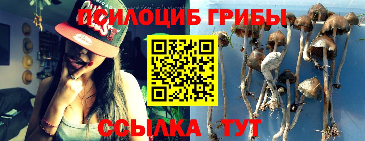 Галлюциногенные грибы мухоморы Алексин